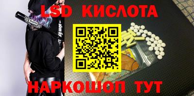 прущие грибы Абакан